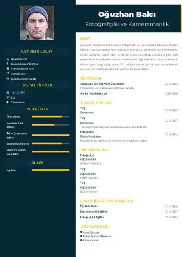 cv indir